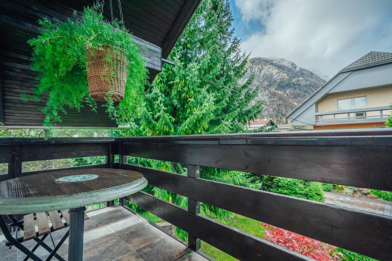 Apartma Borovc Mojstrana Buitenkant foto