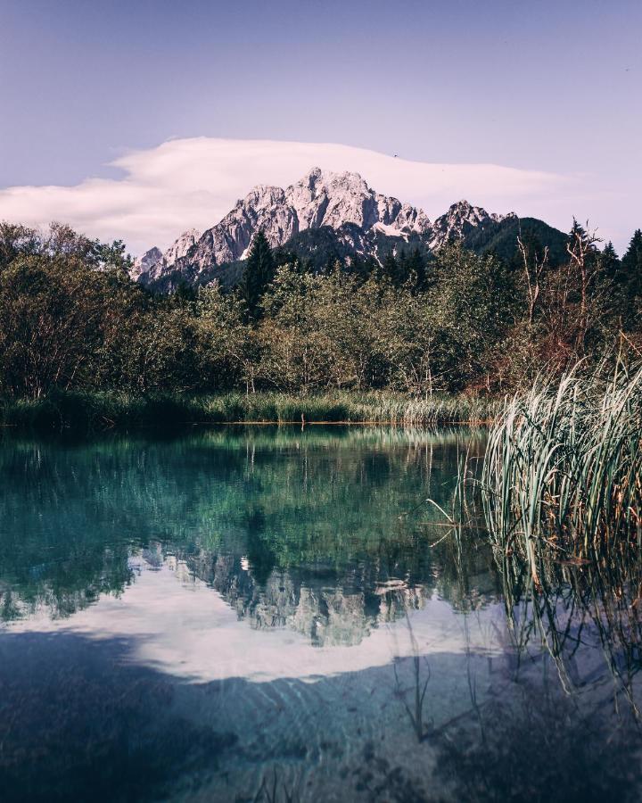 Apartma Borovc Mojstrana Buitenkant foto