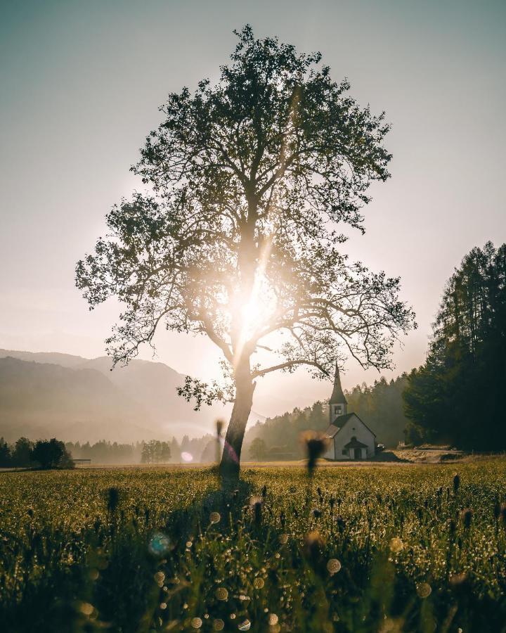 Apartma Borovc Mojstrana Buitenkant foto